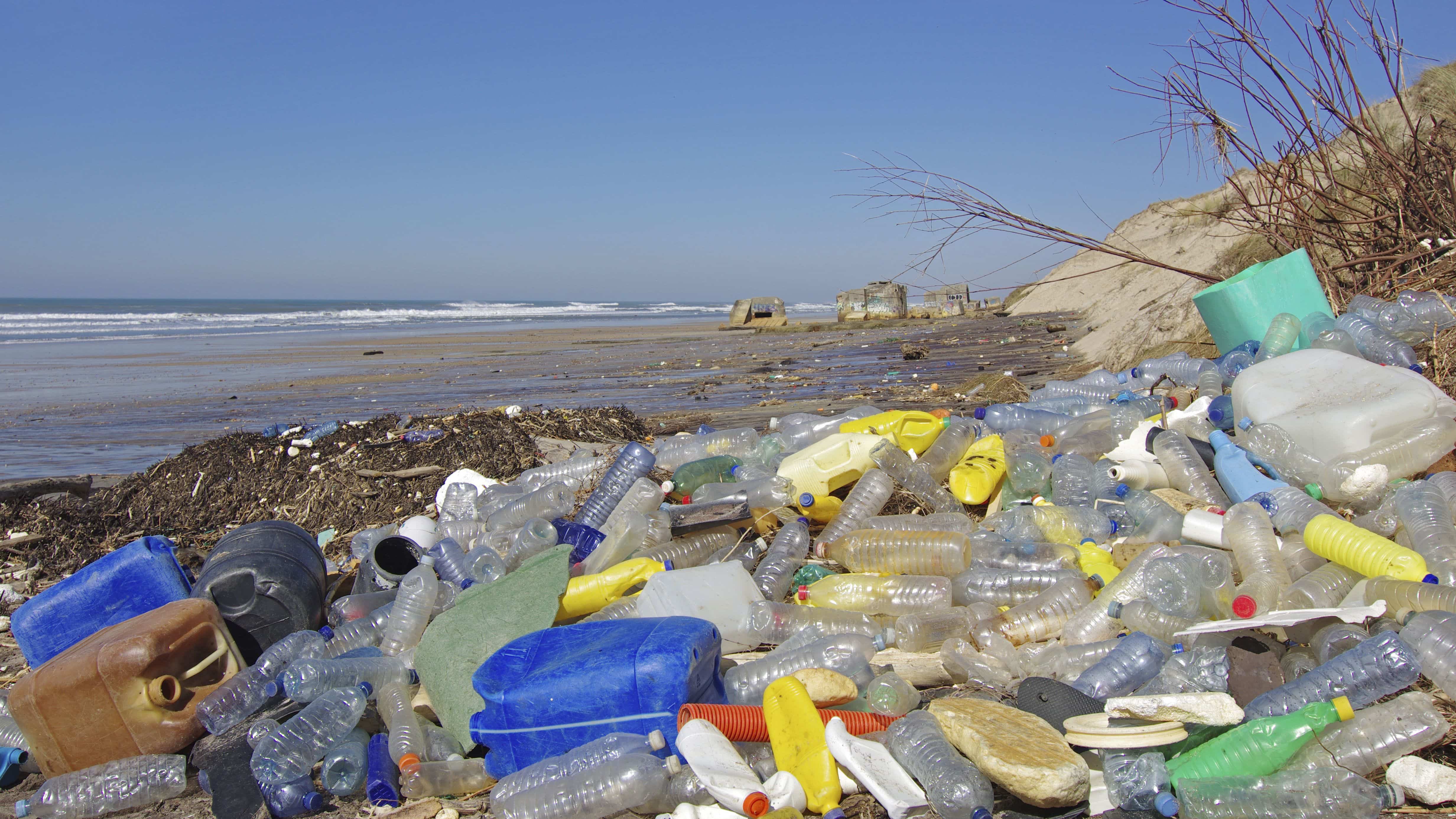 Глобальный отказ от пластика