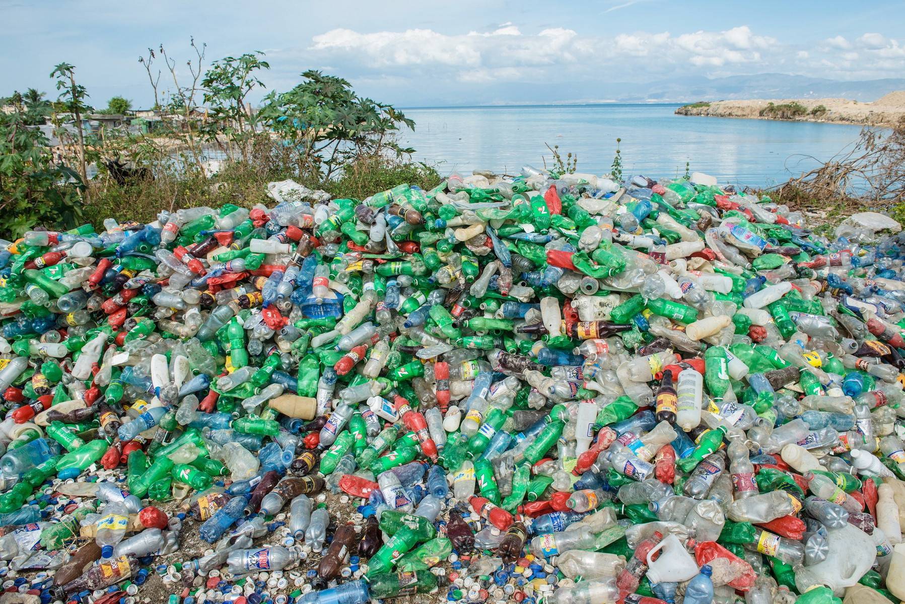 Влияние пластиков на окружающую среду. Пластиковые отходы. Пластиковые бутылки отходы.
