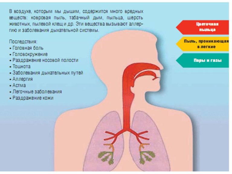 Влияние вейпов на организм человека проект