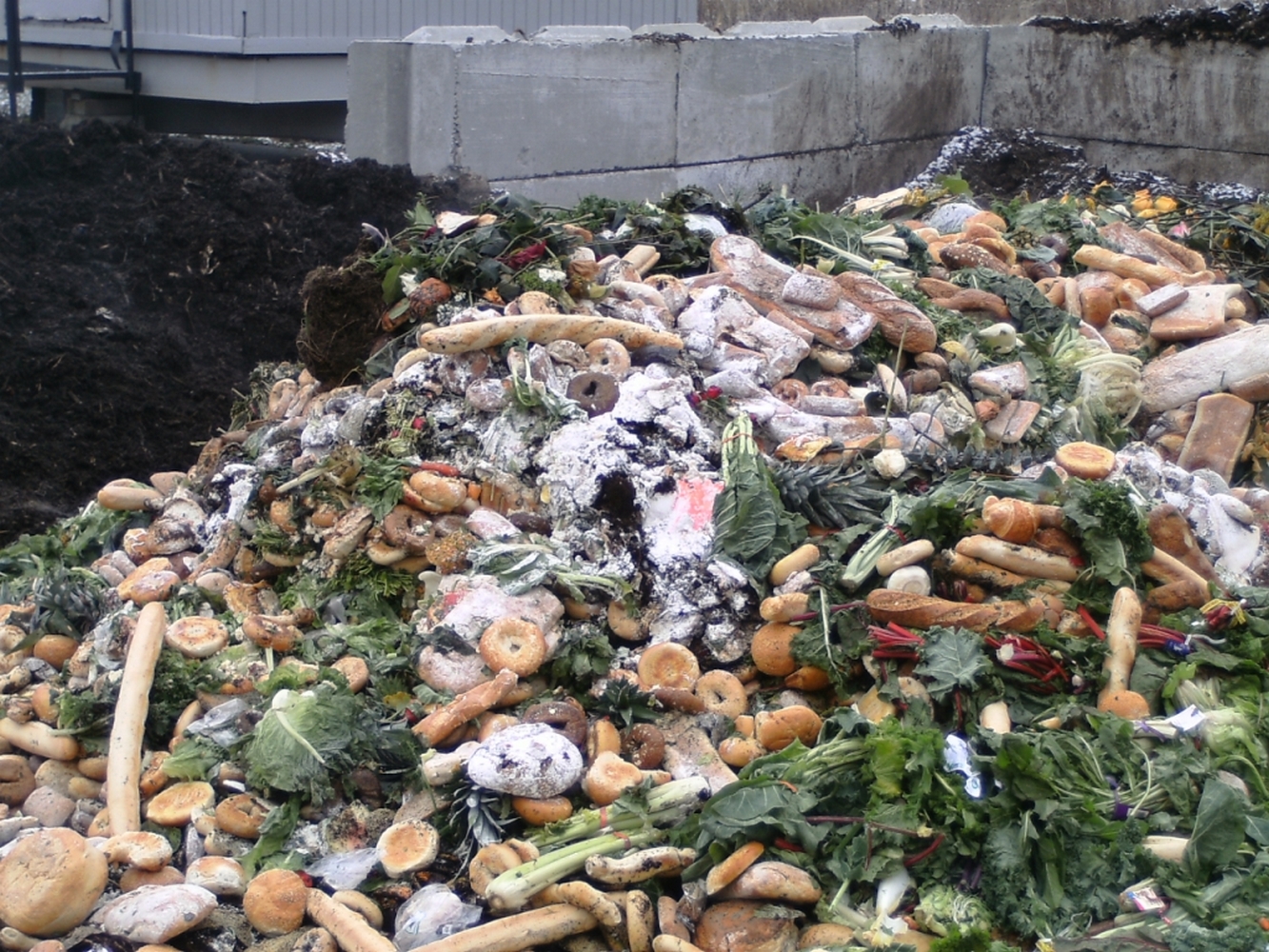 свалка пищевых отходов