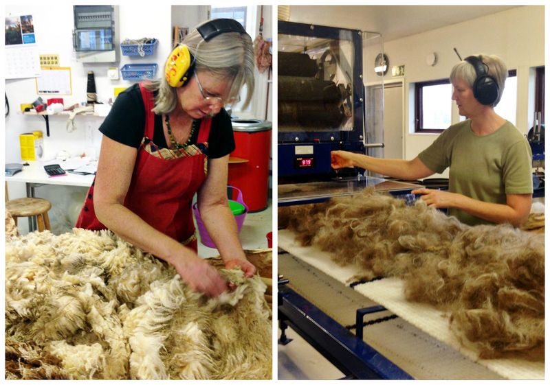 Шерстяное дело: переработка шерсти овец. Необходимое оборудование для переработки шерсти овец