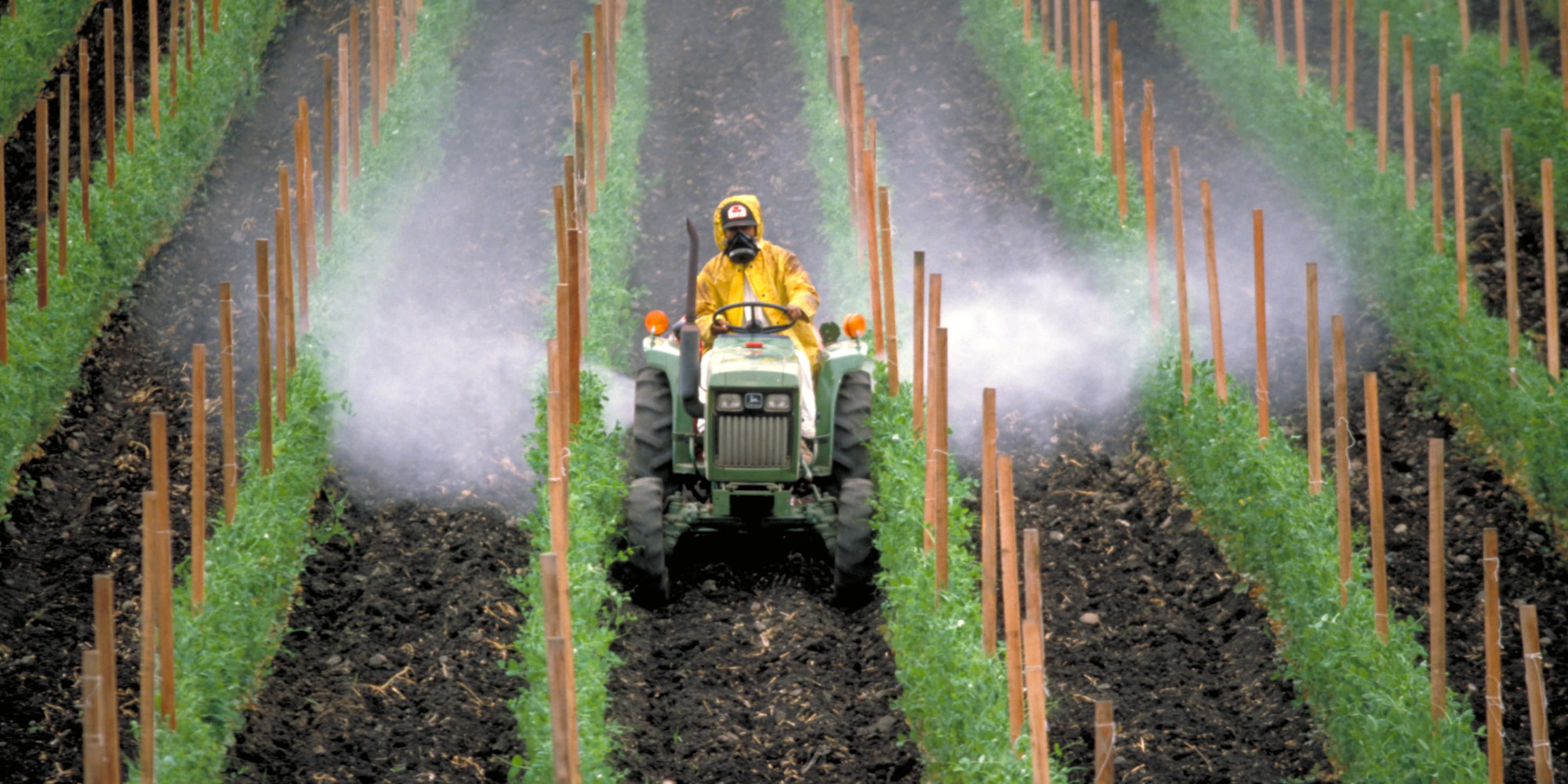 пестициды и удобрения в сельском хозяйстве