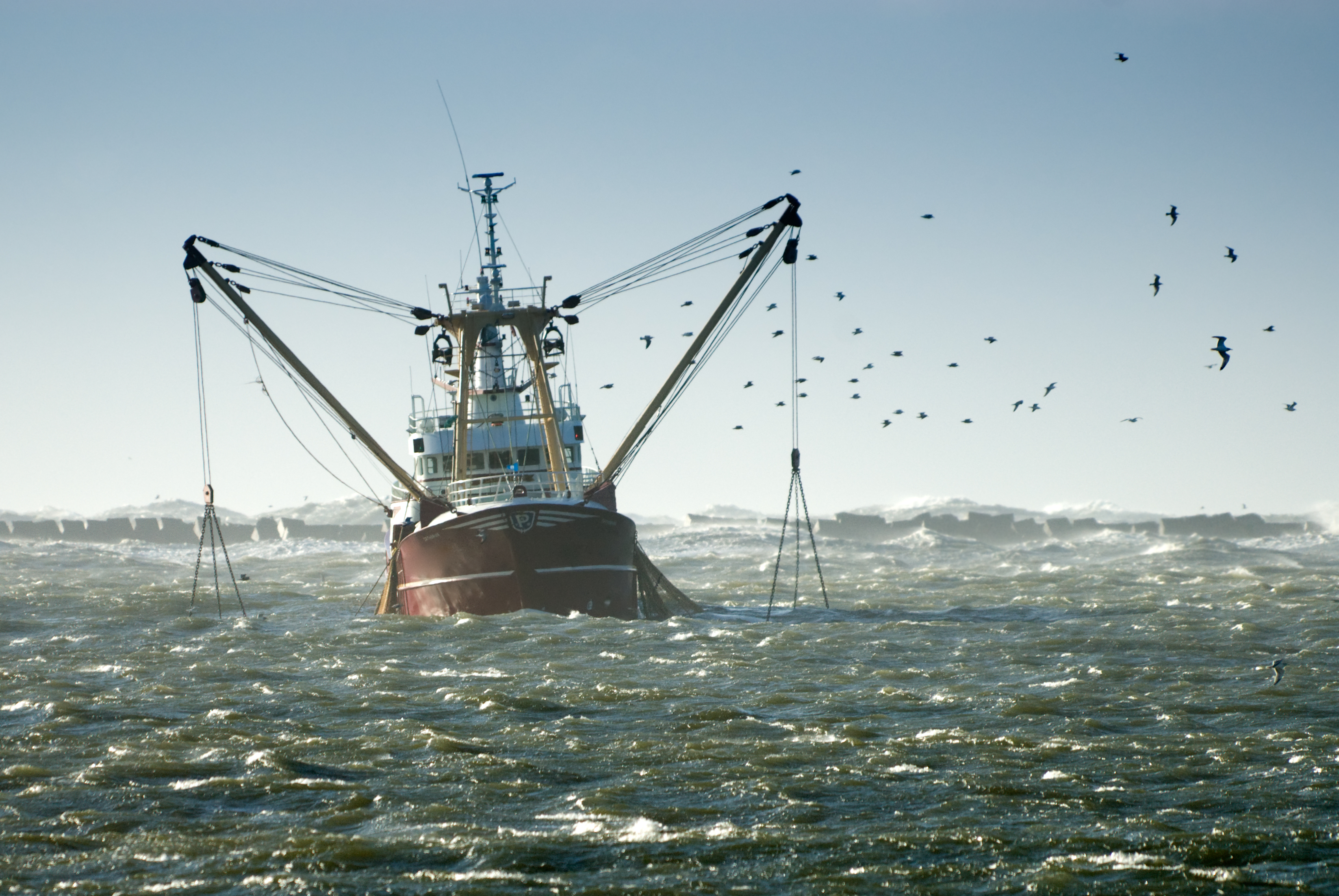 Реферат: Экологические проблемы Северных морей