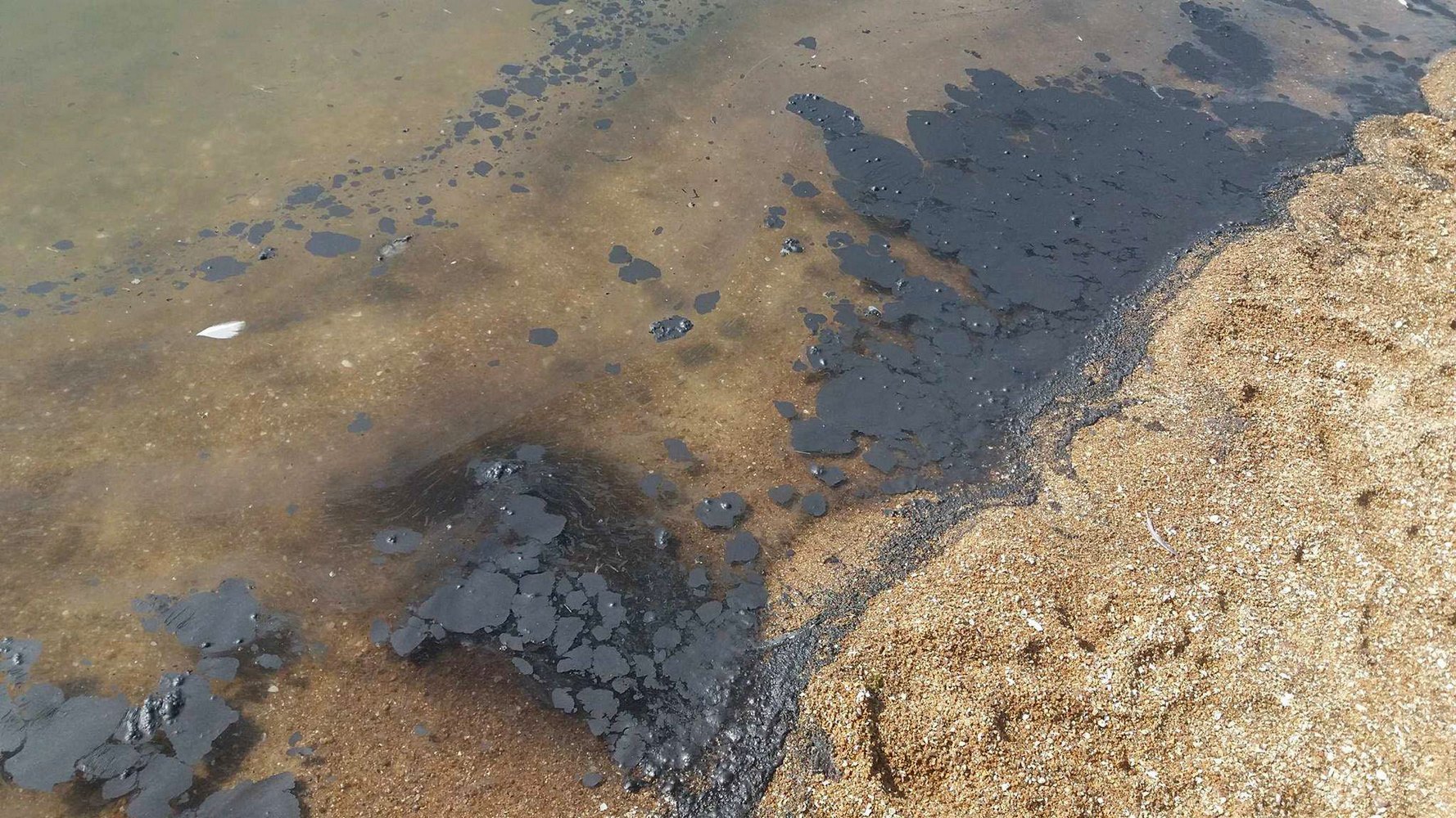 загрязненная вода в азовском море