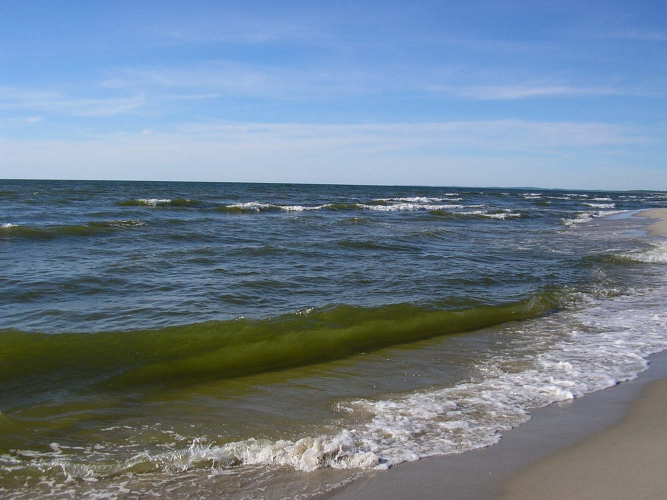 берег балтийского моря