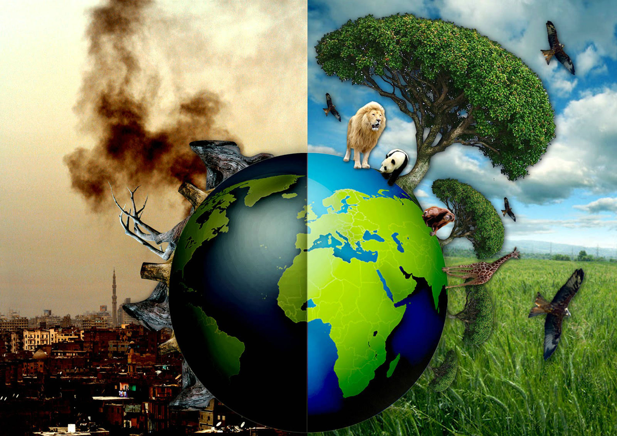 Экологическая - увеличение численности населения, доступ к продовольствию, глобальная утрата биоразнообразия, разрыв между бо